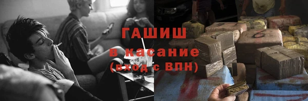 сатива Ростов