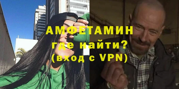 сатива Ростов