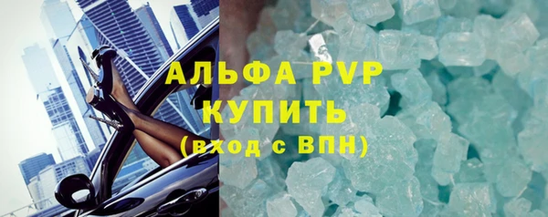 сатива Ростов